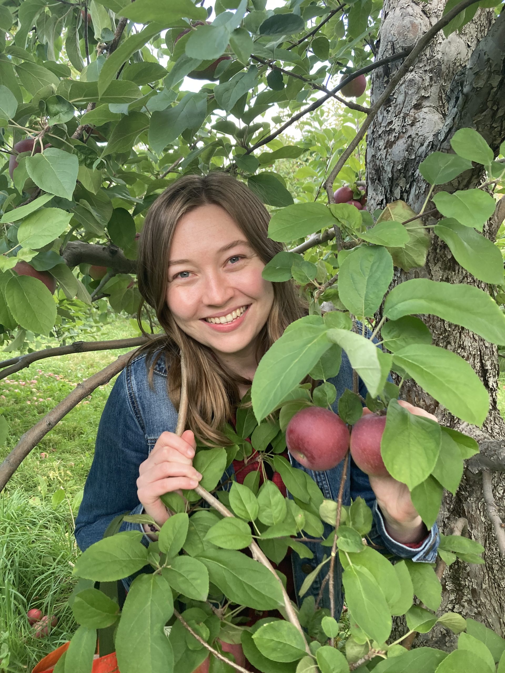 Featured image for “Kate Gardner”